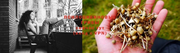 прущая мука Алексин