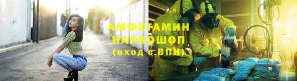 молекула духа Алексеевка