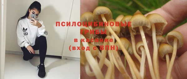 прущий лед Алзамай