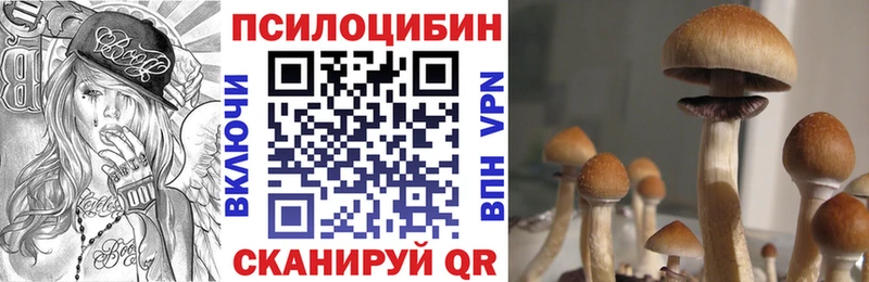 Псилоцибиновые грибы мицелий  где можно купить наркотик  Миасс 